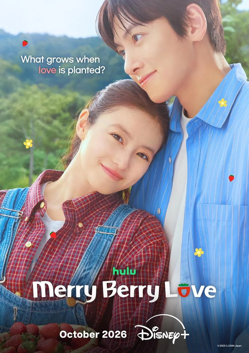 Merry Berry Love poster